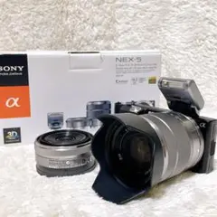 2025年最新】SONY NEX-5 ダブルズームキットの人気アイテム