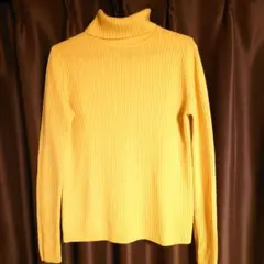 Item thumbnail for item 37966f2e-e965-406f-b485-55ae3a747a52