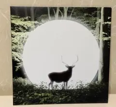 LITE INSTALLATION LP レコード