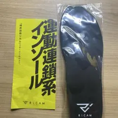 IRERUDAKE RiCAM 運動連静系インソール Lサイズ