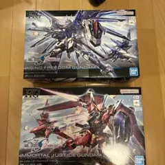 HG 1/144 ライジングフリーダムガンダム&イモータルジャスティスガンダム