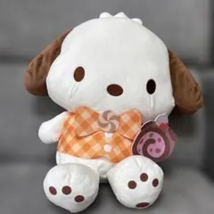 サンリオ　ポチャッコ ぬいぐるみ⭐️即購入OK⭐️