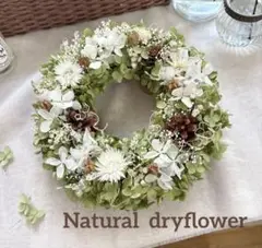 ＊Natural＊アナベル紫陽花とホワイトリース＊ドライフラワーリース