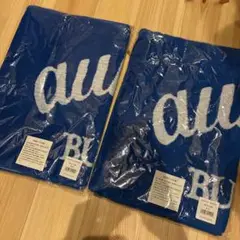 【おまけ付き】BUMP OF CHICKEN タオルまとめ売り セット】BUMP OF CHICKEN ライブグッズ タオル ツアー グッズ