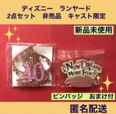 ディズニー　キャスト限定　ランヤード2点セット　非売品　レア【新品未使用】