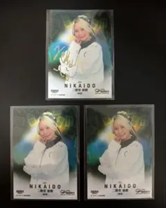 BBM infinity 二階堂亜樹 麻雀 金箔サイン 100枚限定