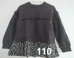 Item thumbnail for item 8999350e-c6c4-4872-b35e-71e71cd49fa5