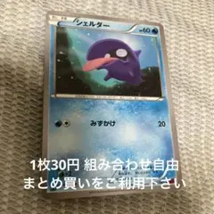 シェルダー　在庫1