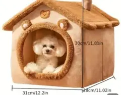 Item thumbnail for item aebe5c90-05ba-4844-8781-c73dc1adad32