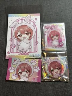 カラフルピーチ　のあさん　4点セット