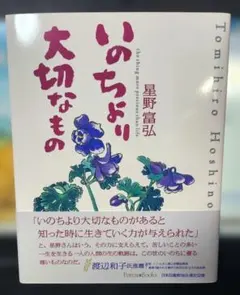 Item thumbnail for item 03ebbec6-a0a2-475b-a988-1536180c50b2