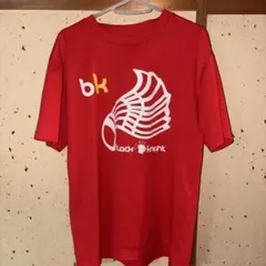 Item thumbnail for item d6ba2e0c-567c-4d65-9ce9-64860487ae19