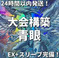 005　遊戯王　青き眼　青眼　原石　ブルーアイズ　大会構築デッキ　蒼の深淵