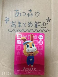 あつ森amiibo⭐︎ぴょんたろう