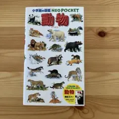 動物