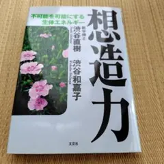 想造力 不可能を可能にする生体エネルギー 渋谷直樹 渋谷和嘉子