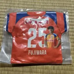アルビレックス新潟 マッチデークッション 藤原奏哉