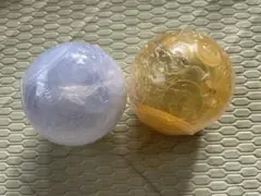 ワンピの実 ニカ 2個セット