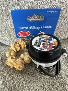 東京ディズニーリゾート ポップコーンバケット キーチェーン