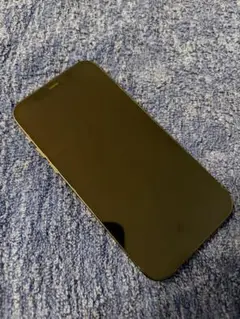 Apple iPhone 12 128GB ブラック 純正バッテリー
