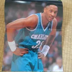 Alonzo Mourning Hornets ポスター NBA