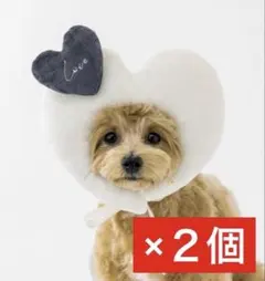 Item thumbnail for item f47cc18d-f8ff-424a-83f5-e04293016124