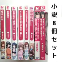 「愛妻日記」布施はるか他　小説8冊セット　パラダイム