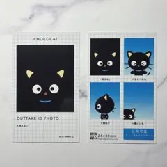 【サンリオ】証明写真風スマロイドNG集？！ チョコキャット