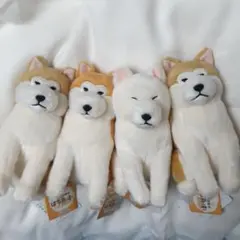 ほっこり秋田犬 はち兵衛 VMC 3点セット ぬいぐるみマスコット - メルカリ
