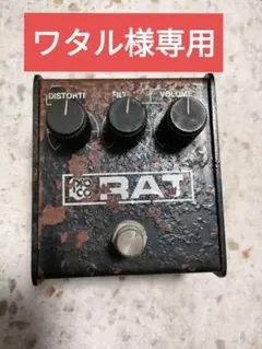 2025年最新】Proco RAT Black Faceの人気アイテム - メルカリ