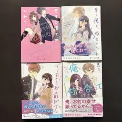 野いちご文庫 4冊セット