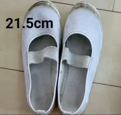 バレーシューズ　体育館　上履き21.5cm 靴下セット　白