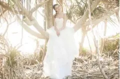 ◆値下げ【付属品各種セット】ワタベウェディング ドレス LEAF-2