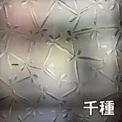 昭和　型板ガラス　(千種)　2枚セット (6ページまとめ買いで1枚無料)
