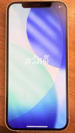 【美品】iPhone 12 ホワイト 256GB SIMフリー★おまけ付き