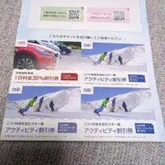 日本駐車場開発　株主優待券　4枚セット