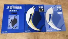 予習シリーズ　6年(下) 算数　難関校対策
