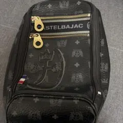 阪神タイガース 未使用キャリーバッグ 記念品 値下げ可❗️❗️ - メルカリ