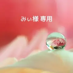 みぃ様 リクエスト 2点 まとめ商品