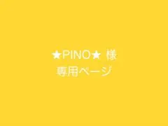 ★PINO★様 リクエスト 2点 まとめ商品