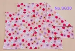 Item thumbnail for item e6ddbee3-c3b3-4468-a31a-cee2d4735eaf