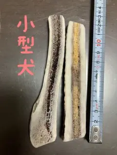 鹿の角　半割　21番のサムネイル