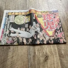 阪神タイガース　優勝翌日デイリー新聞