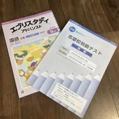 2026年最新】エブリスタディの人気アイテム - メルカリ