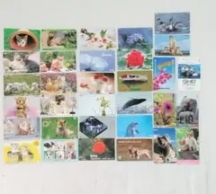 【使用済み】テレホンカード 大量まとめセット 犬/猫/動物/花柄のサムネイル