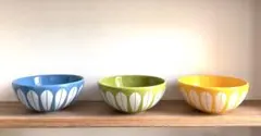 Lucie kaas キャサリンホルム復刻版 ロータス　ボウル キャサリンホルムの復刻版＜ロータスボウル＞ : マルタスタッフのブログ