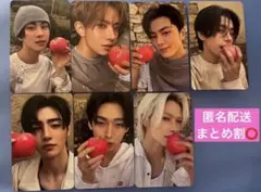 ENHYPEN VANISH FUGITIVES ver トレカ コンプリート