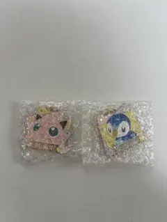 ポケモン　チャーム2種　プリン　ポッチャマ