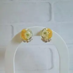 ハンドメイド ミモザ レジン ピアス 花 ドライフラワー