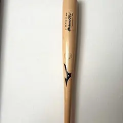 MIZUNO PRO 硬式木製バット 1CJWH21700 山川型 - メルカリ
